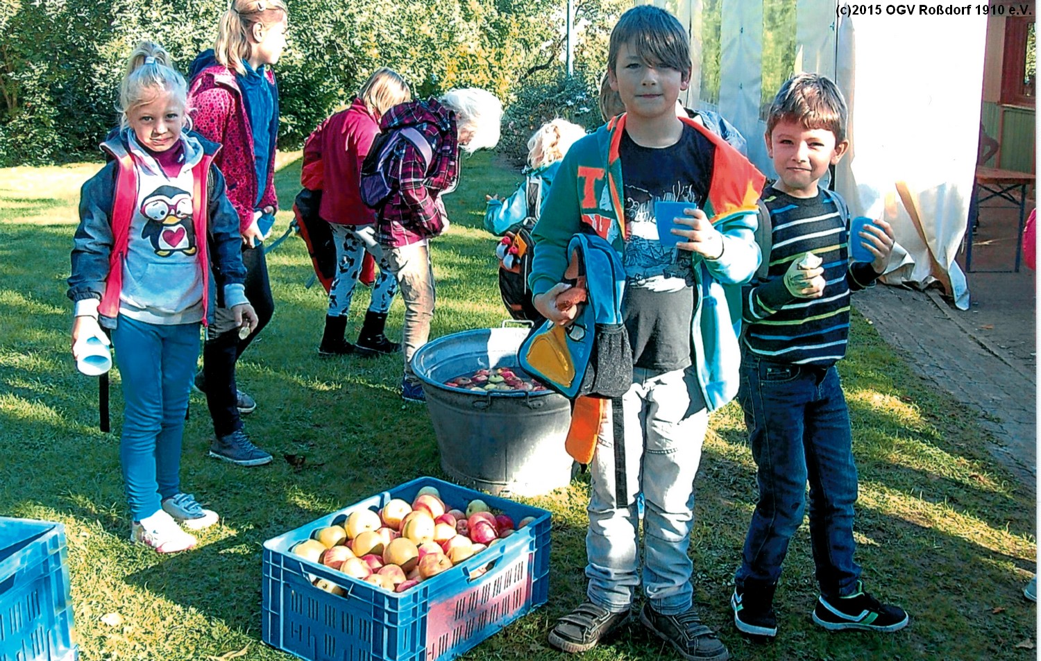Kelteraktion im OGV-Lehrgarten Kelteraktion im OGV-Lehrgarten